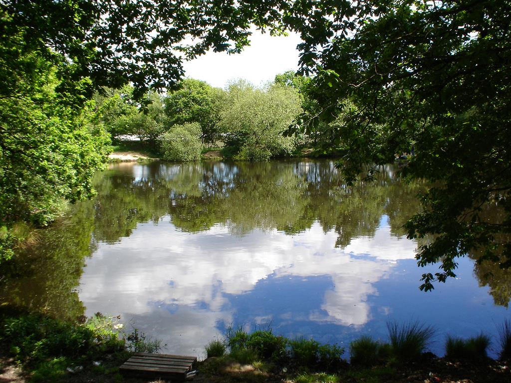 shore side view of the lake